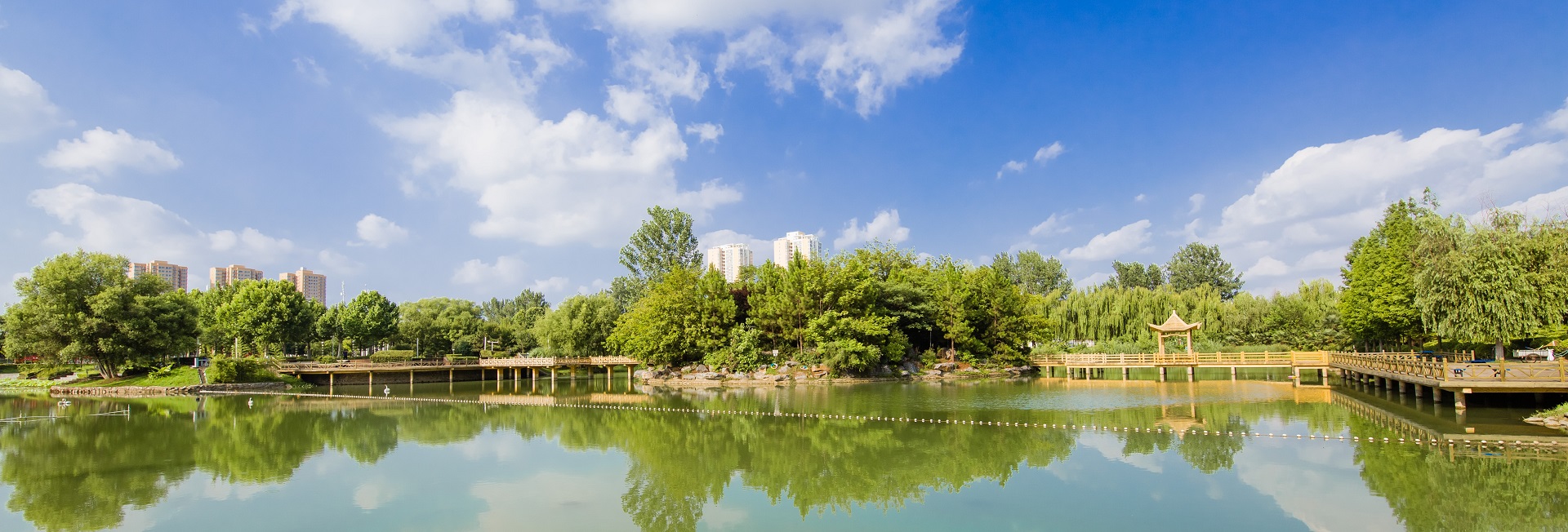 南阳理工学院校园湖景